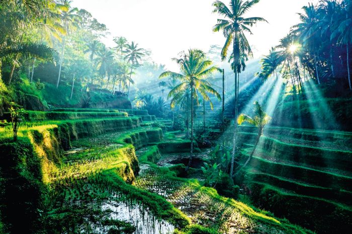 Bali sunset indonesia time beach beautiful